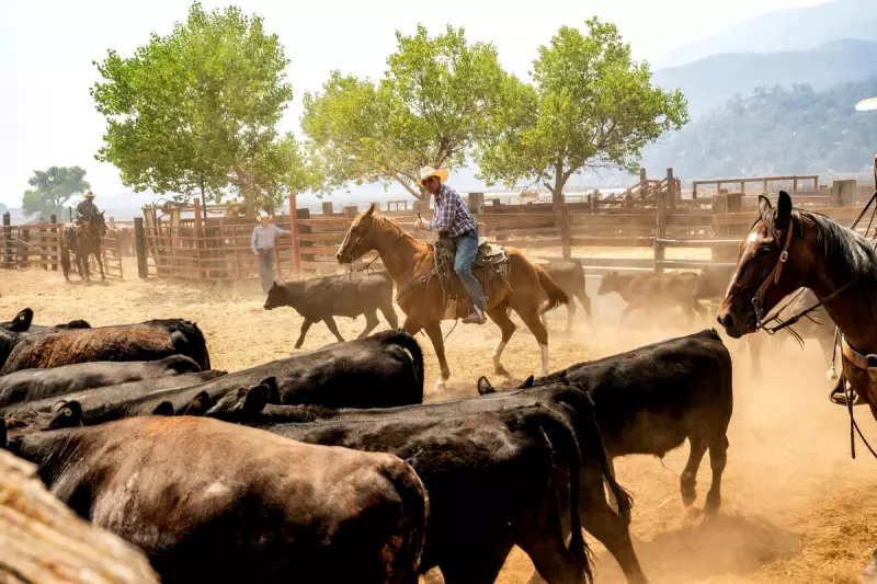 California Braces for Heavy Rain and Flooding as Severe Weather System Moves In