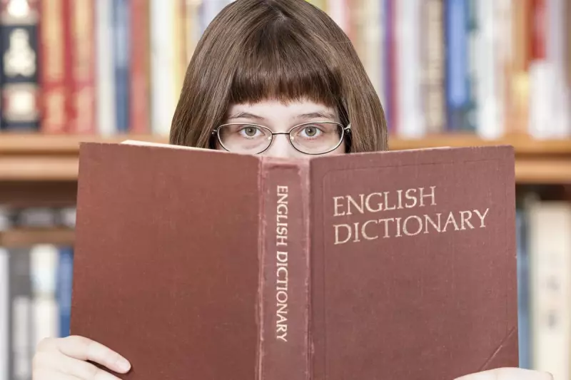 Cambridge Dictionary Adds New Words for 2025 – Discover the Latest Trends in Language