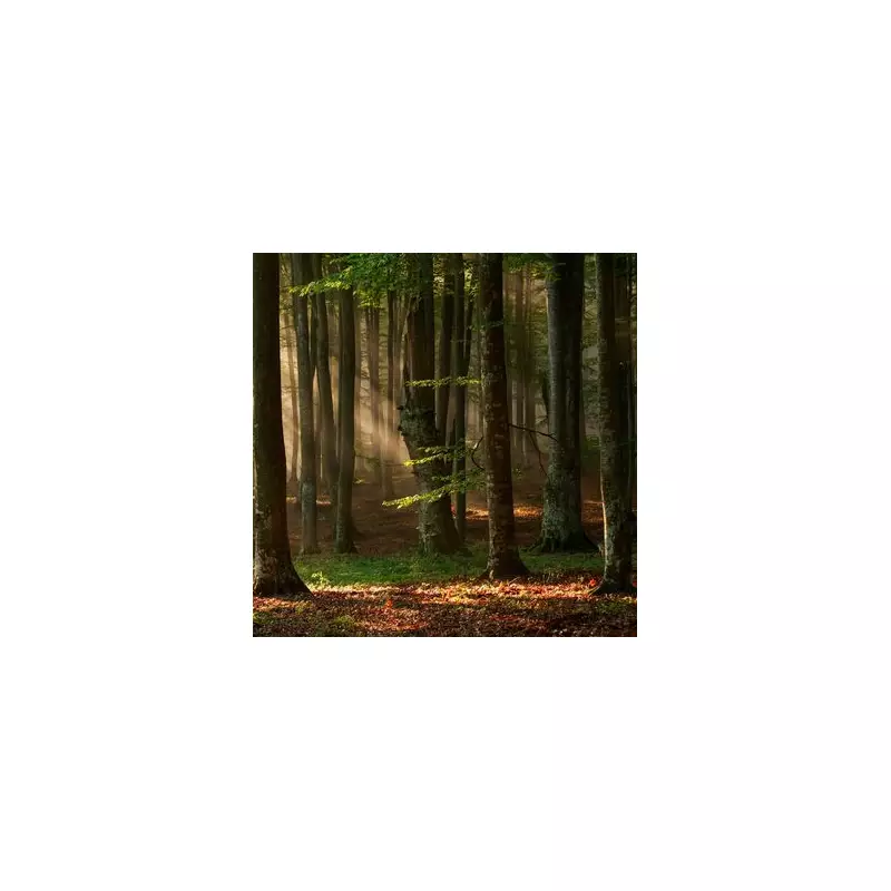 Can You Spot the Hidden Mistake? Only the Sharpest Eyes Will Crack This Puzzle!