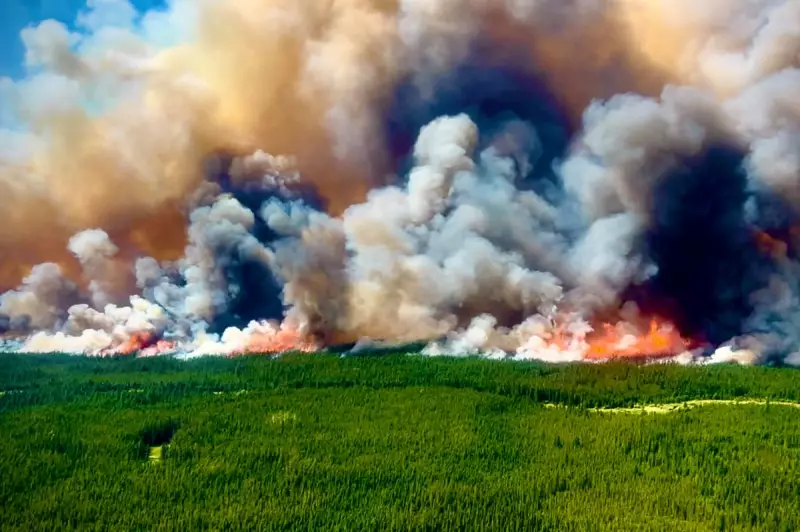 Canada Wildfires Spread to New Regions: Latest Updates and Evacuations
