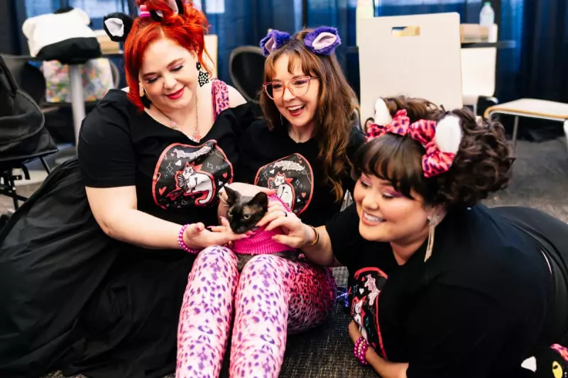 CatCon 2025: The Ultimate Feline Fan Festival Takes Over Pasadena