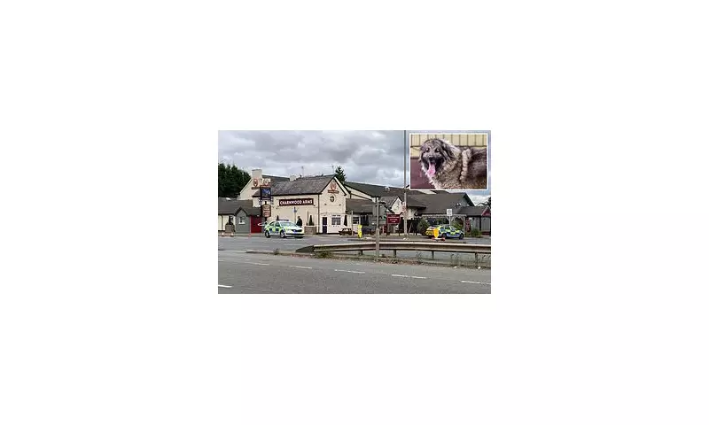 Caucasian Shepherd Dog Attack in Westminster: Six Injured, Two Arrested After Vicious Mauling