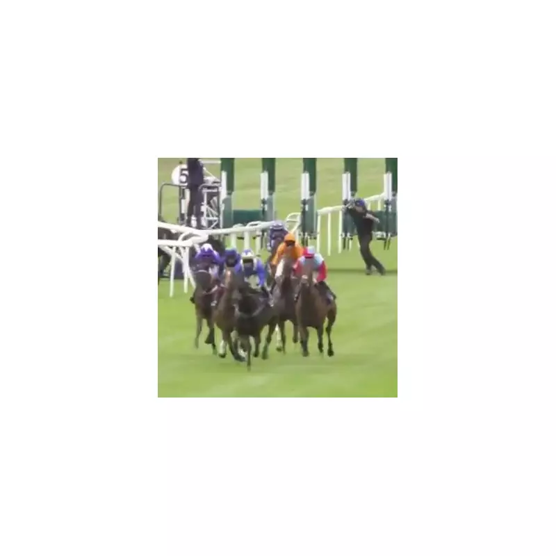 Chaos at Windsor as Blindfolded Horse Causes Race to Be Voided – Shocking Scenes Unfold