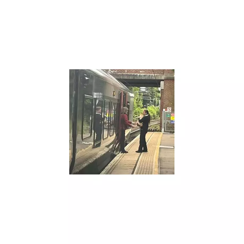 Cheeky Cat Sneaks Onto Stansted Flight in Purr-fect Stowaway Stunt