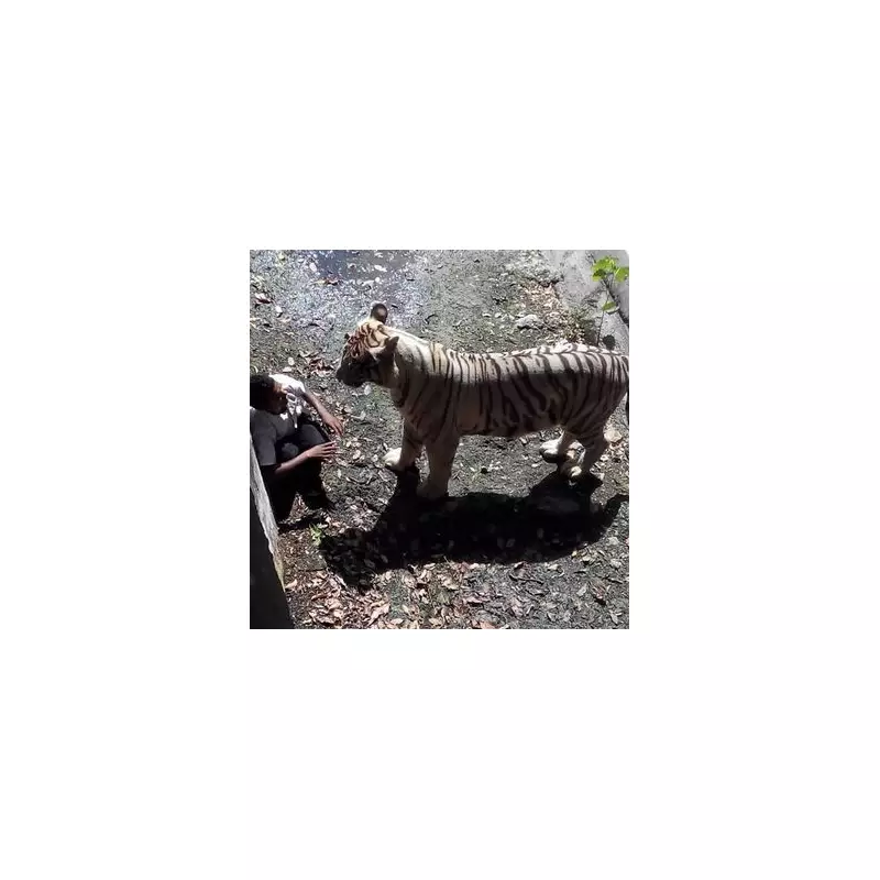 Chilling Last Photos of People Seconds Before Tragedy Struck