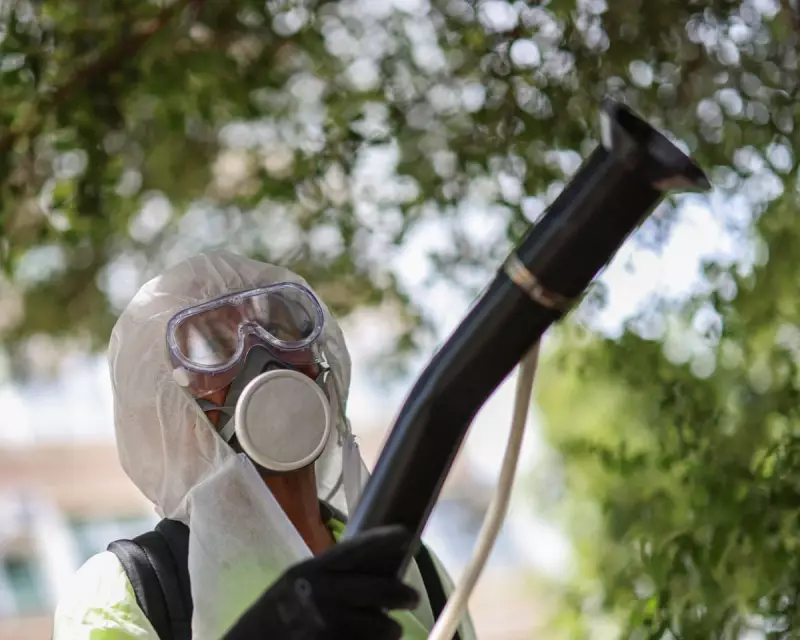 China Steps Up Mosquito Control to Combat Chikungunya Virus Outbreak