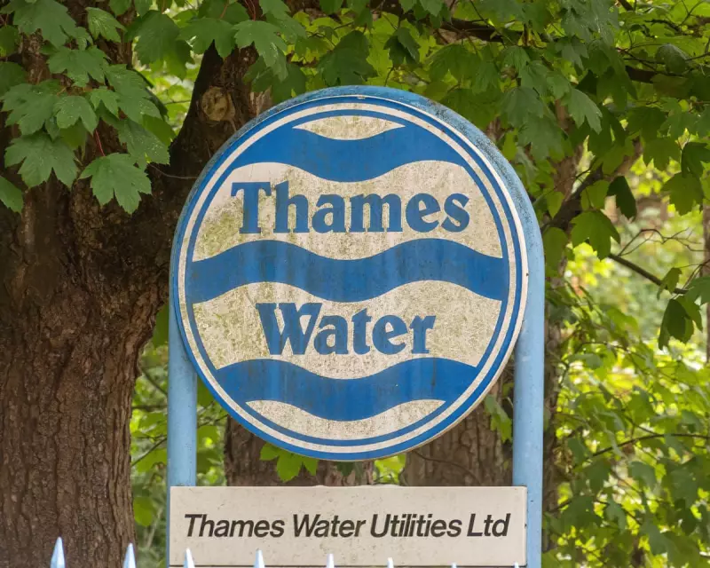 Chinese Firm Emerges as Frontrunner to Acquire Thames Water Amid Financial Struggles