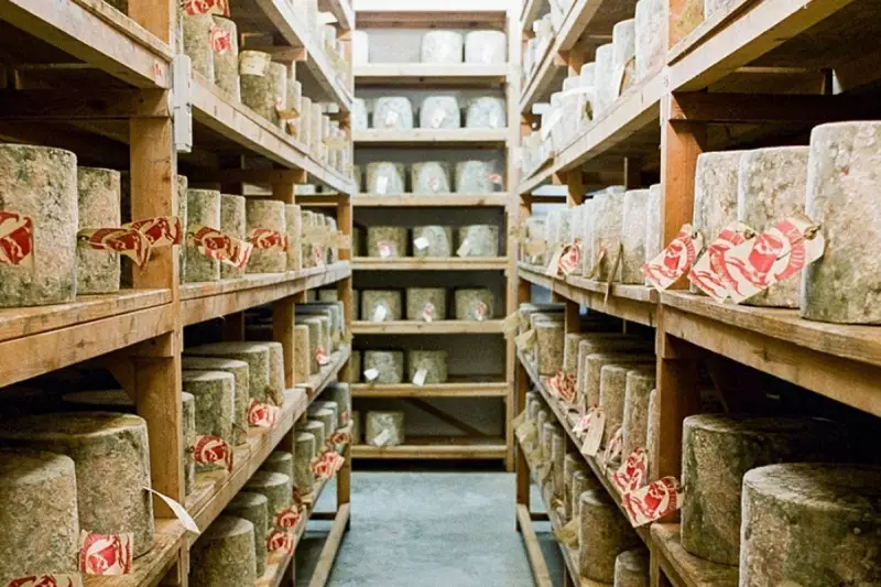 Daring Cheese Heist in London: Thieves Steal £20,000 Worth of Neal's Yard Dairy Products