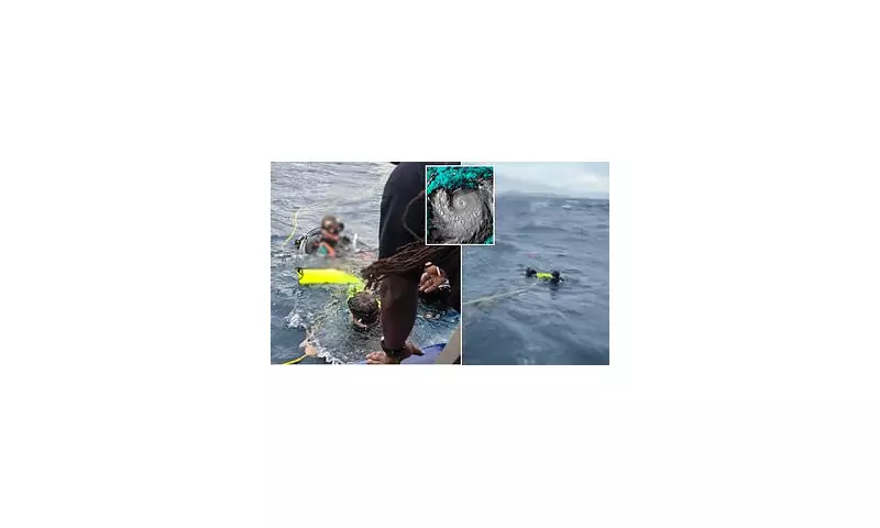 Daring Rescue: Divers Saved from Hurricane Erin's Fury in St. Croix