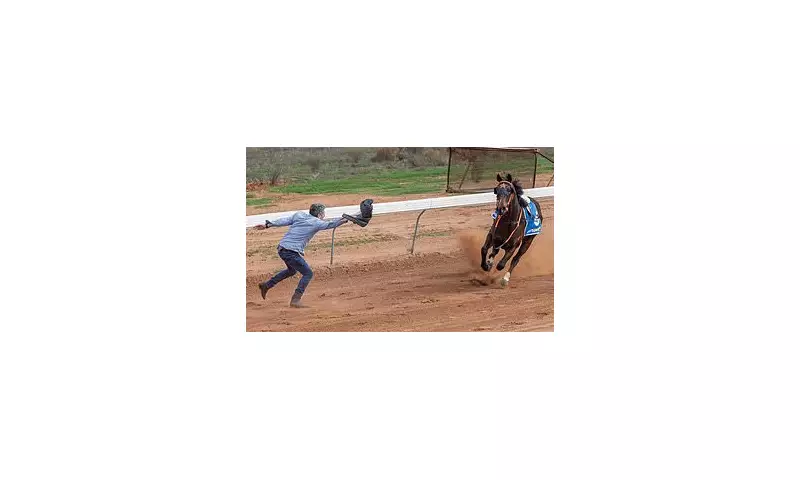 Darryl Carrison's Heroic Wrong-Way Win at Quorn Cup Stuns South Australia