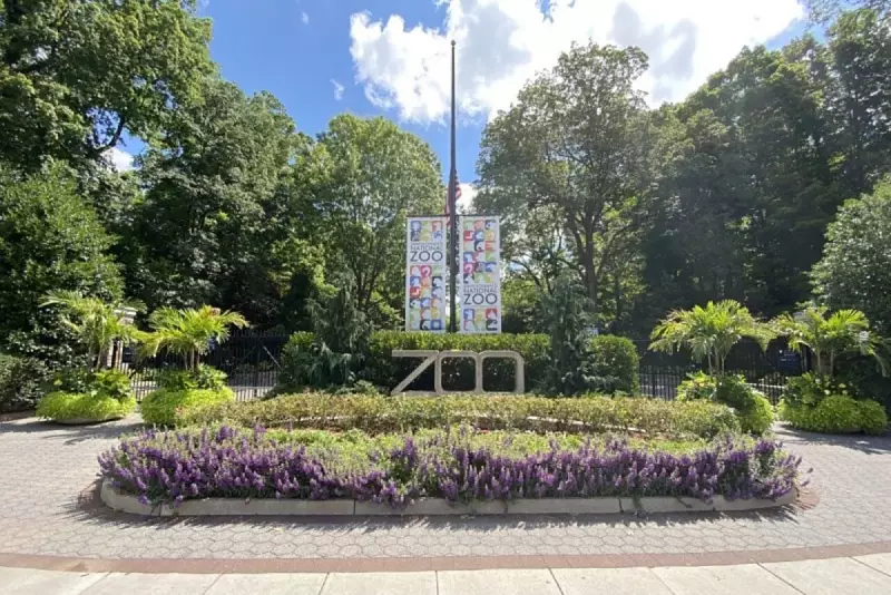 DC Lawyer's Wild Night: From Courtroom to Lion's Den in Bizarre Zoo Break-In Attempt