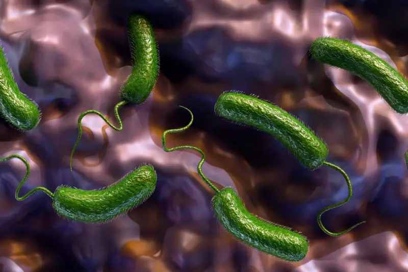 Deadly Bacterial Outbreak Spreads Across Southeastern US: What You Need to Know