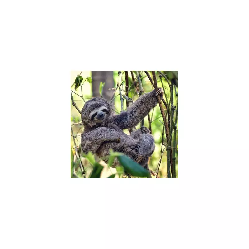 Deadly Oropouche Virus Detected in UK for the First Time – What You Need to Know