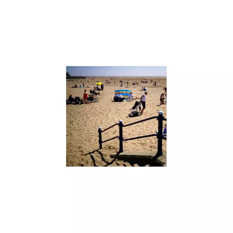 Deadly Portuguese Man O' War Invade UK Beaches – Experts Warn of Severe Stings