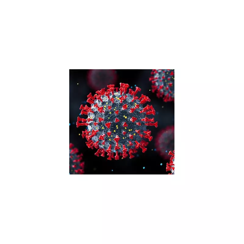 Deadly RVHD2 Virus Spreads Among UK Rabbits: Urgent Warning Issued