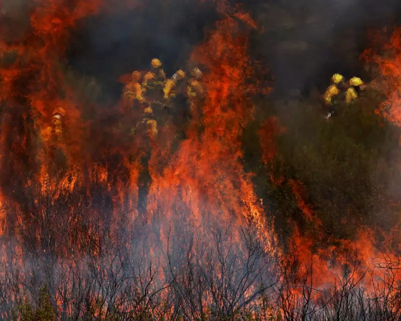 Deadly Wildfires Rage in Spain as Europe Battles Relentless Heatwave