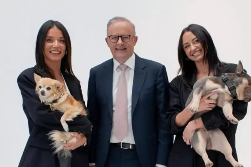 Delulu Down Under: Australian PM Anthony Albanese Schools Gen Z on Viral Slang in Parliament