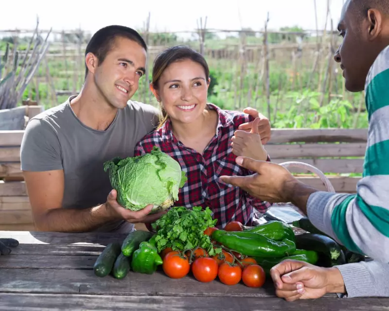 Digested Week: From Allotment Follies to Gen Z’s Late-Night Habits and the Trolley Problem Dilemma