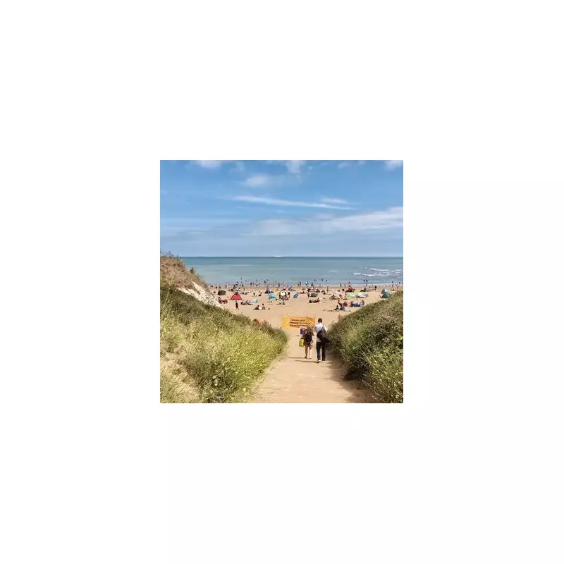 Discover Cornwall's Secret: The Stunning UK County That Pays You To Visit | 2024 Guide