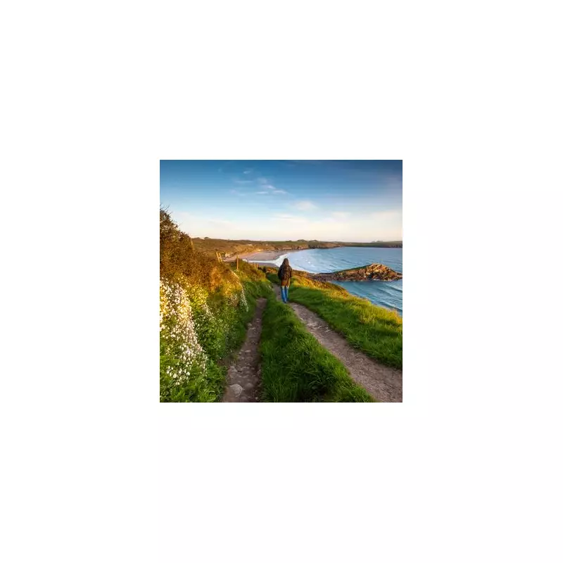 Discover St Davids: The Tiny Welsh City with a Giant Secret Luring Tourists