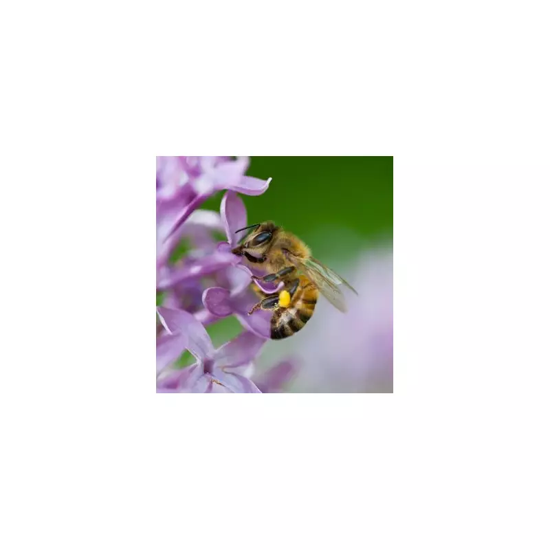 DIY Bee Hotel Hack: How to Attract Wildlife to Your Garden with This Simple Trick