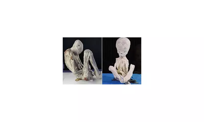 DNA Tests Reveal Shocking Truth About Peru's 'Alien Mummies' – Are They Really Extraterrestrial?
