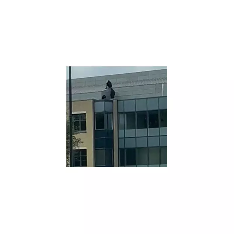 Dramatic Police Standoff in King's Hill: Armed Officers Surround Building in Major Incident