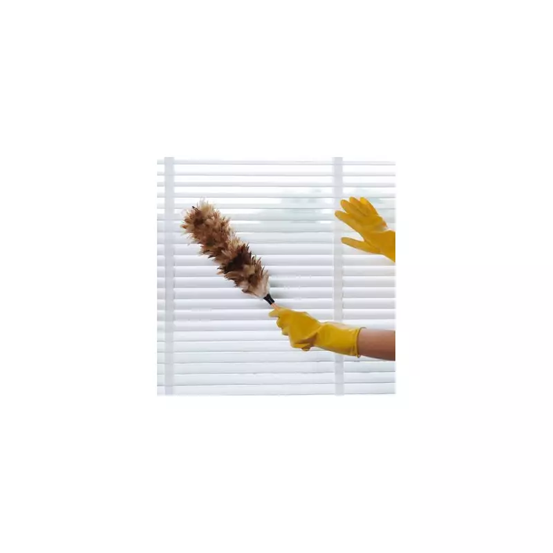 Dusty Blinds? This Simple Trick Keeps Them Clean for Weeks!