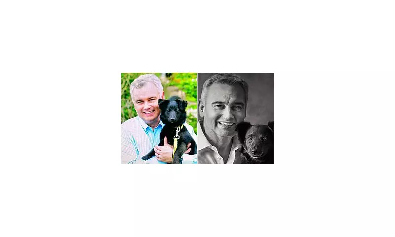 Eamonn Holmes Heartbroken as Beloved Dog Maggie Caught in Bitter Divorce Battle with Ex-Wife Ruth Langsford