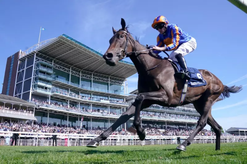 Ebor Festival Day One: York's Blockbuster Racing Tips & Best Bets for Wednesday