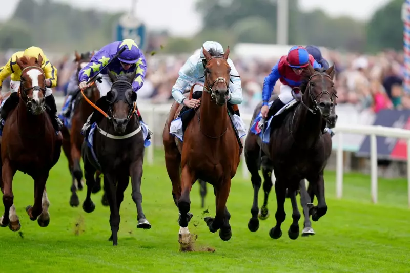 Ebor Festival Day Two: Expert Racing Tips & Best Bets for York | 21 August