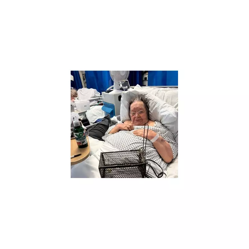 Elderly Woman Trapped in Hospital Bed for Days Due to Staff Shortages – Shocking NHS Crisis