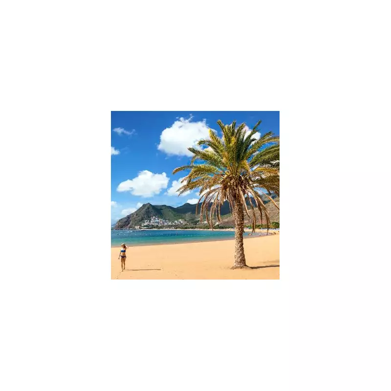 Escape the UK Chill: Discover Málaga, Europe's Secret Winter Sun Paradise With 300 Days of Sunshine