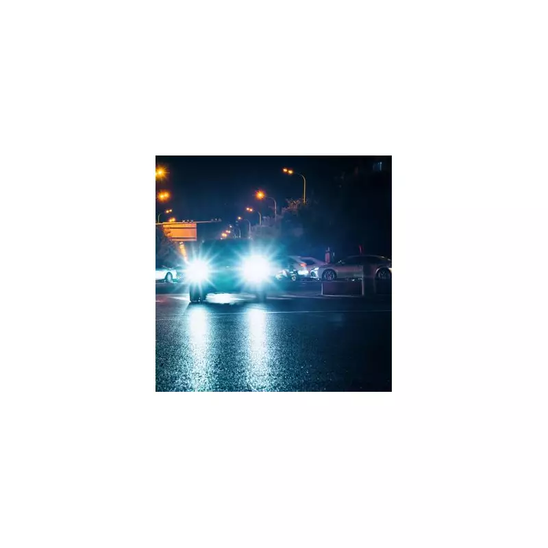 Essential Car Item Drivers Should Never Travel Without – Or Risk a £2,500 Fine