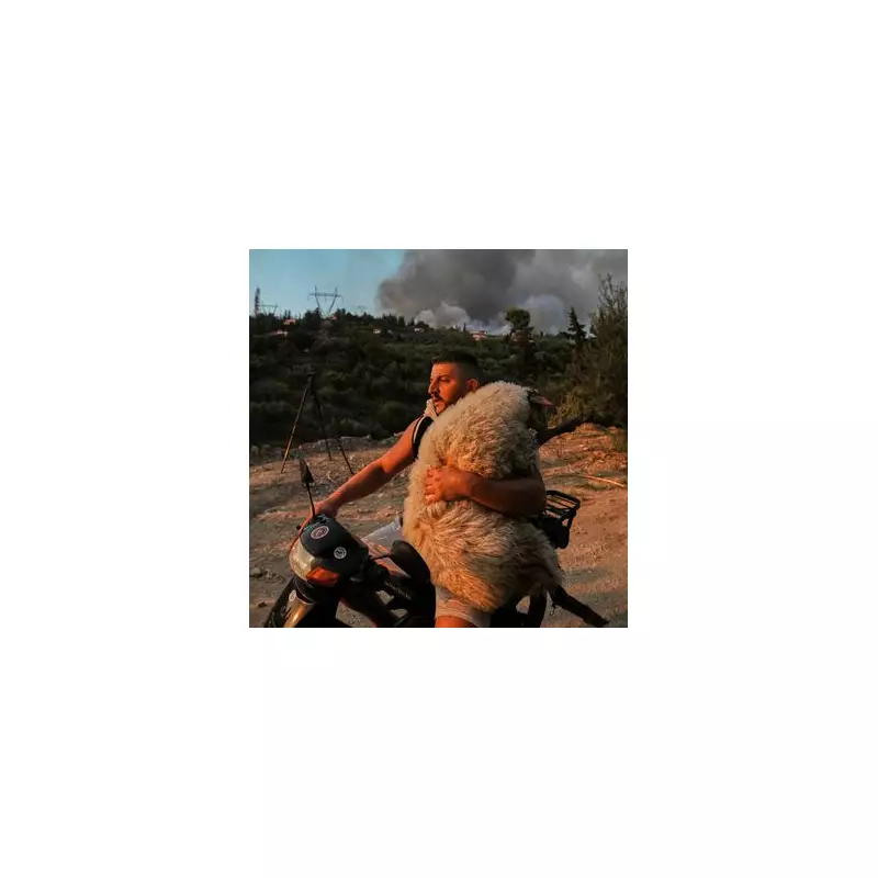 Europe's Summer of Fire: Record-Breaking Wildfires Scorch Continent in Terrifying Climate Warning