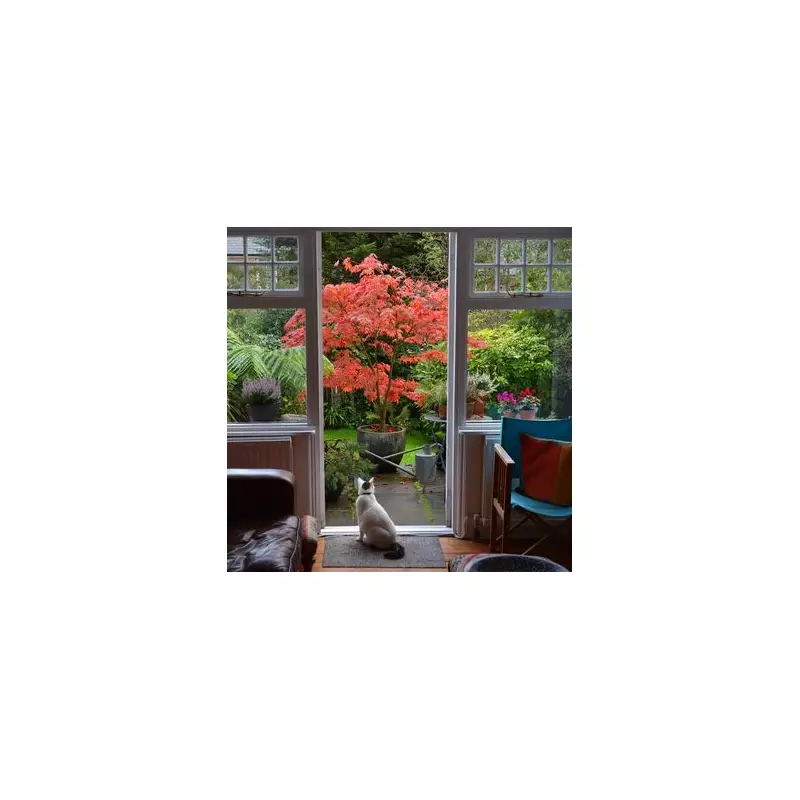 Expert Tips for Pruning Japanese Maple Trees: A Simple Guide for Stunning Results