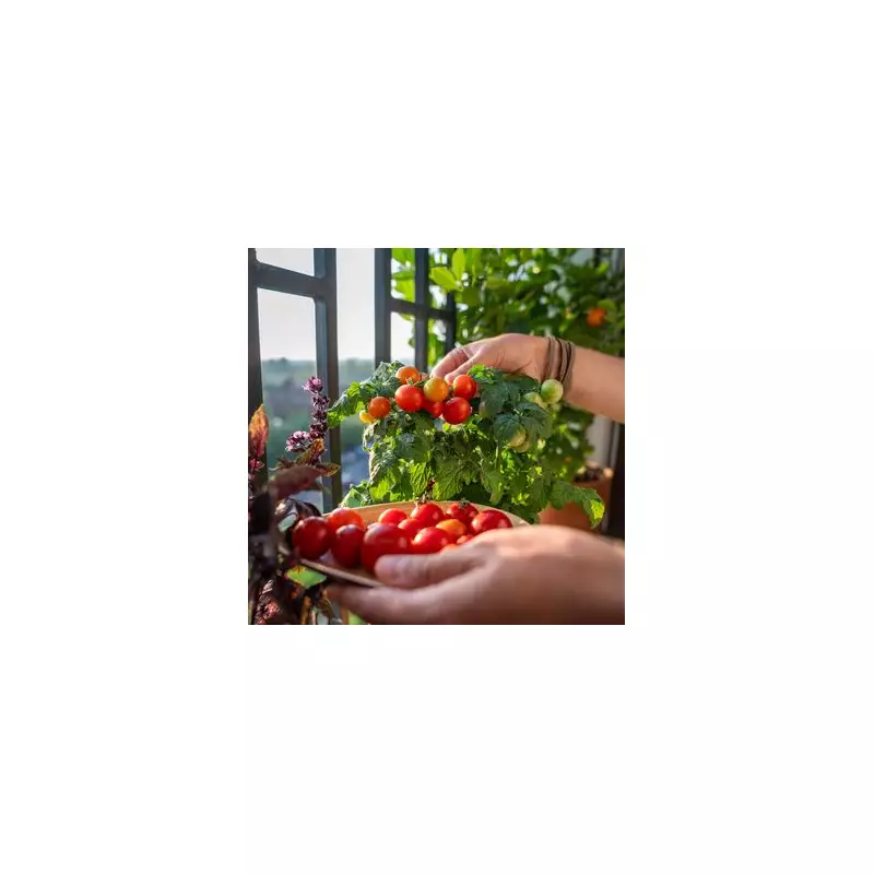 Expert Tips to Grow Juicier, Bigger Tomatoes in Your Garden
