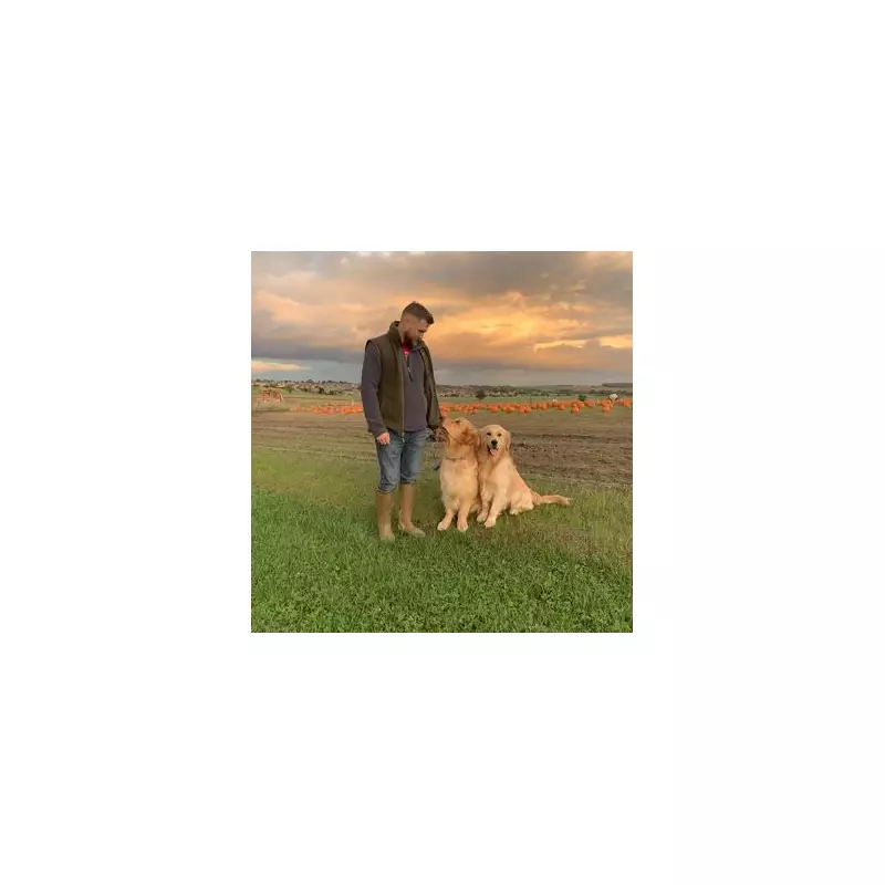 Family's Agony as Beloved Pet Dog Returns from Walker 'Dead in a Bag' - Shocking Negligence Exposed