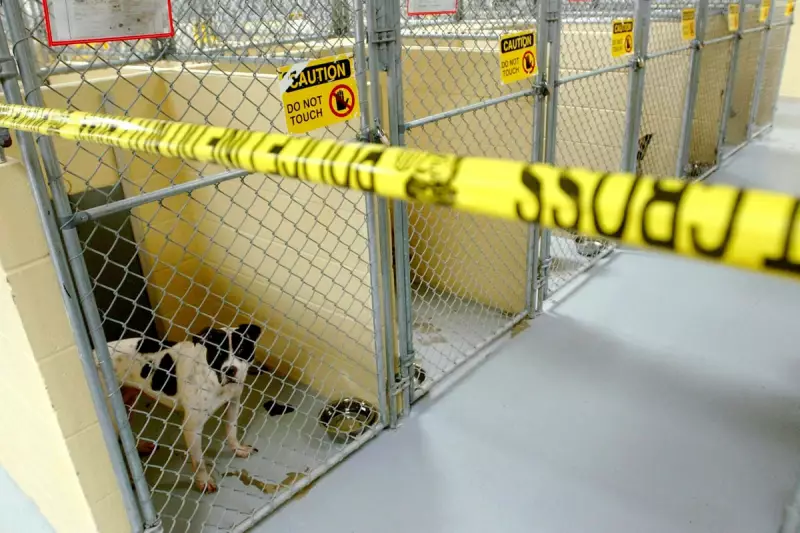 FBI Investigates NFL Star Over Alleged Ties to Oklahoma City Bombing Conspiracy