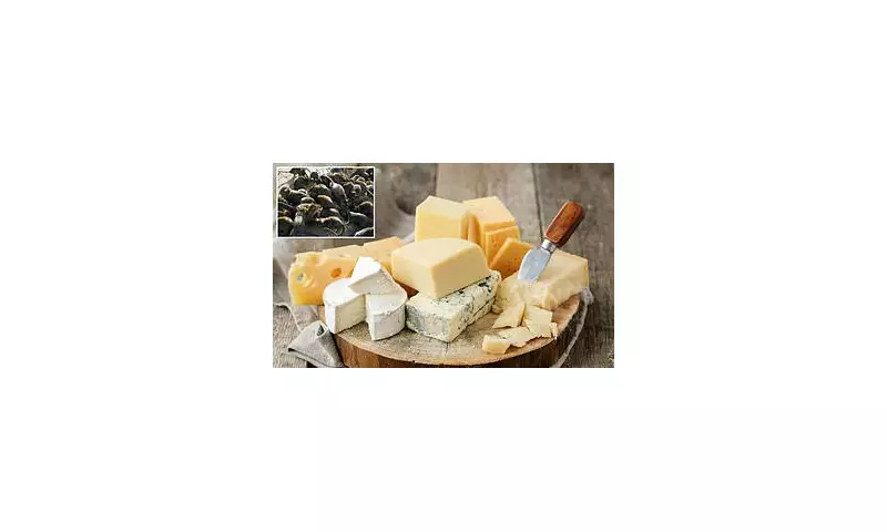 FDA Issues Urgent Recall of Wegmans Cheese Over Contamination Fears – Rodent Bacteria Found!