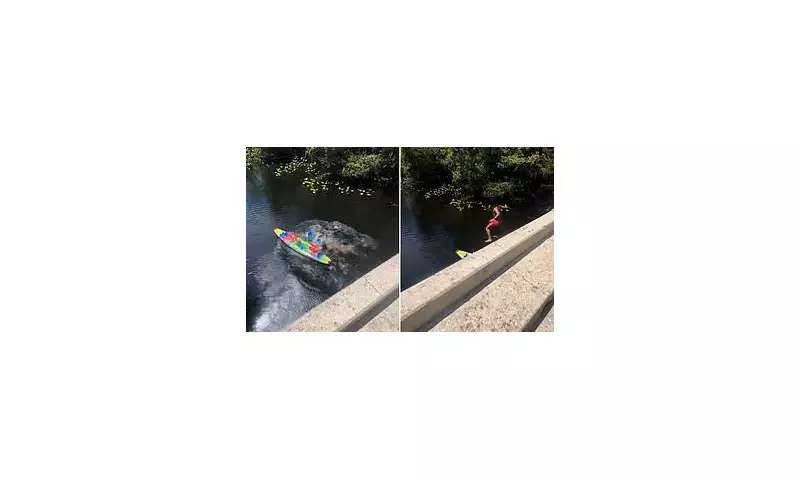 Florida Daredevils' Kayak Stunt Goes Horribly Wrong Under Bridge – Watch the Shocking Footage!