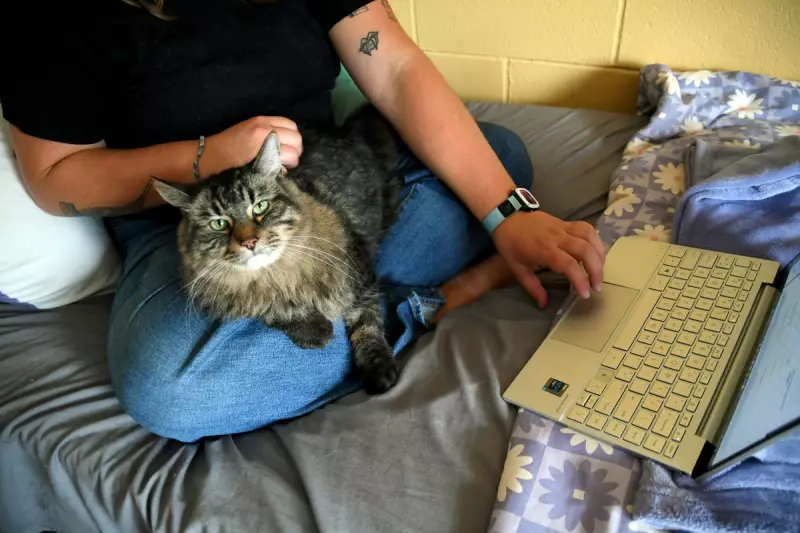 Florida's 'Free State' Status Under Threat as New Bill Targets Drag Performances