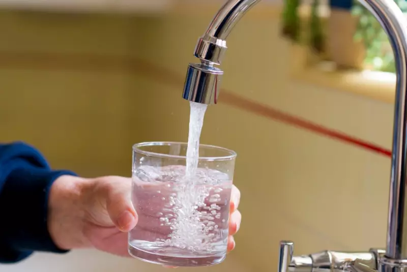 Forever Chemicals in Your Blood? How PFAS Exposure Alters Gene Activity, Reveals New Study