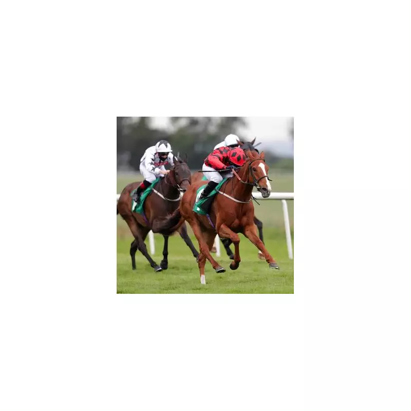 Friday's Top Horse Racing Picks: Expert Selections for Today's Races