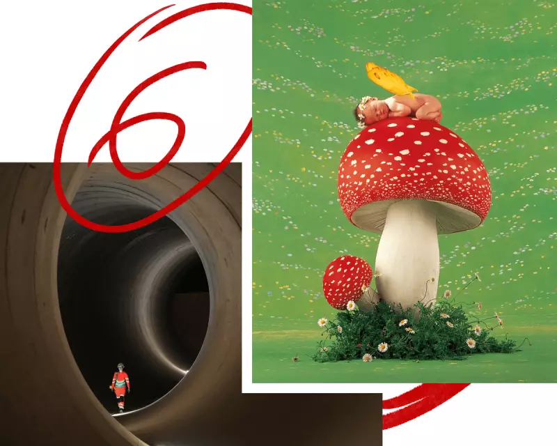 From Swanky Manholes to Babies in Flowerpots: The Week's Most Fascinating Stories