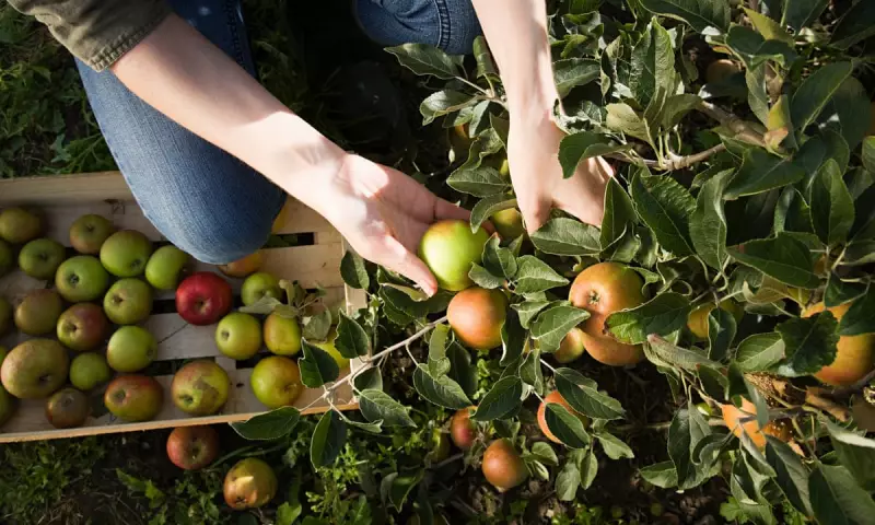 Future of UK Farming in Crisis: Agriculture Students Share Their Struggles and Hopes