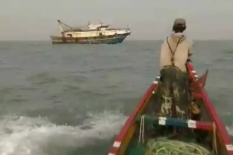 Gambia's Diplomatic Pivot: President Barrow Accuses Chinese Envoy of 'Diplomatic Failure' and 'Disrespect'