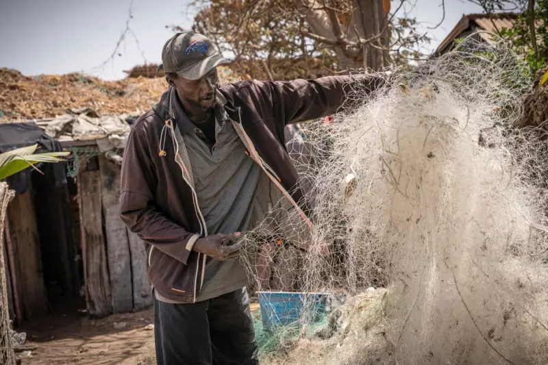 Gambia's Waters Declared Safe: UK Takeaway Ban Lifted After Historic Fish Stock Deal