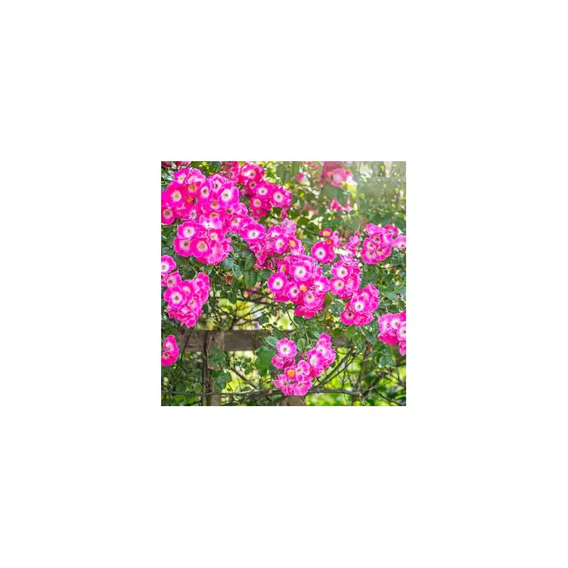 Gardeners Beware: This Common Mistake Could Ruin Your Spring Blooms