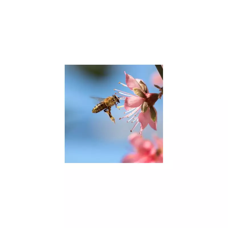 Gardeners' Secret Weapon: A Spoonful of Sugar to Revive Wilted Plants